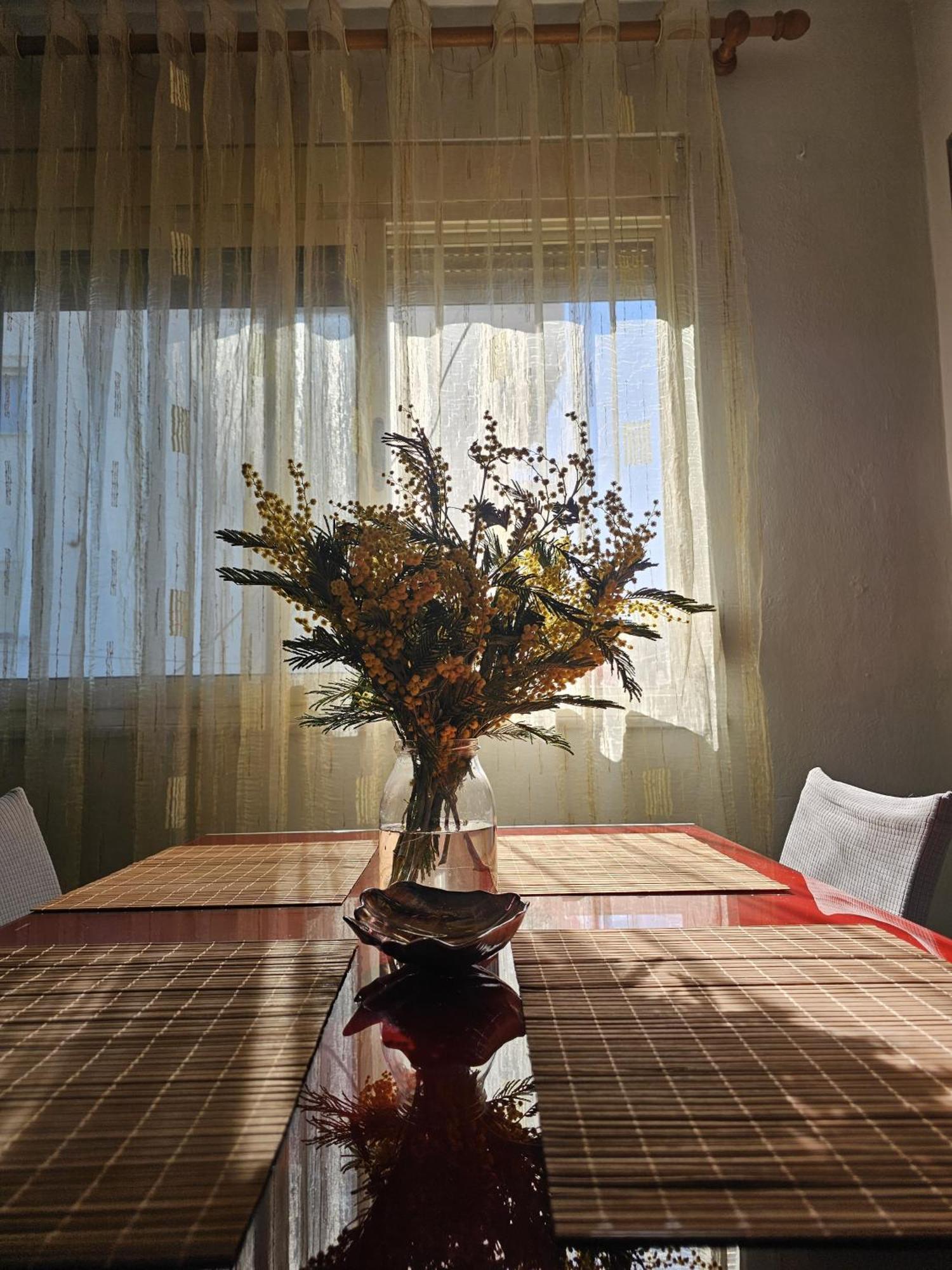 Library Apartment By Bohem Rentals Durres Luaran gambar